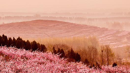 ��Ȧ- ��ȦΪ�Ķ���